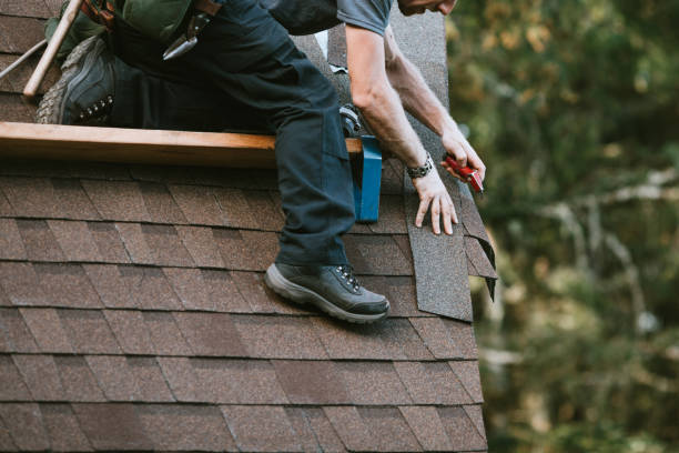 Best Shingle Roofing Installation  in , MN